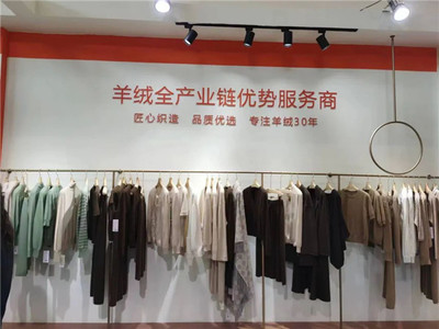 第25届中国·清河国际羊绒及绒毛制品交易会暨清河羊绒时尚节